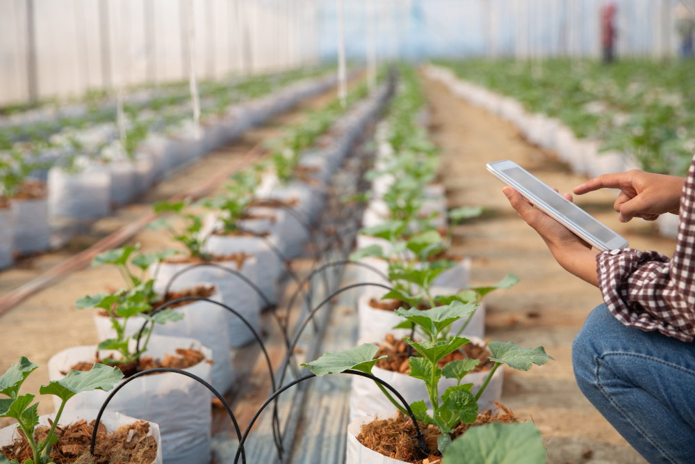 Smart agriculture IoT monitoring system for precision farming by Knowx Innovations